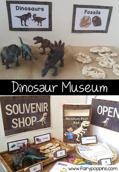 dinosaur museum display with dinosaurs in the background and other items for sale to children's