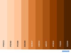 an orange and brown color scheme with the names of different colors in each section on it