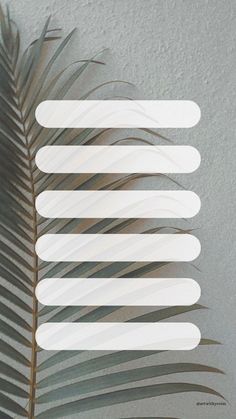 a palm leaf is shown against a gray wall with white lines on it and the bottom part of the image has been cut out