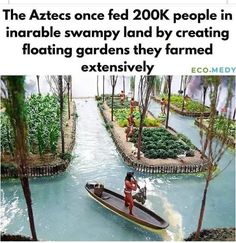 a man in a boat on the water with trees and plants around him, that is captioned by eco medev