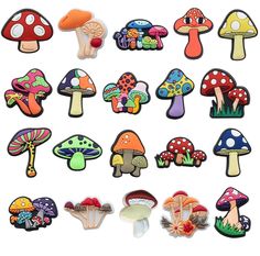 many different types of mushrooms on a white background