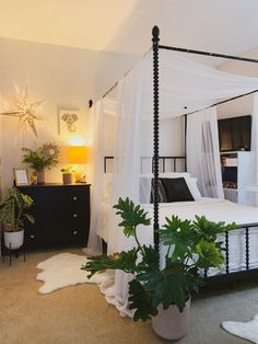 a bedroom with a white canopy bed and plants in the corner on the carpeted floor