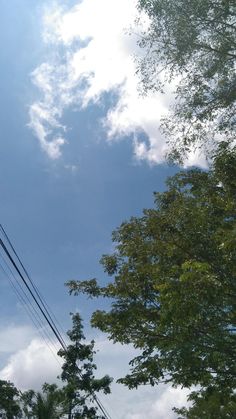 a stop sign that is on the side of a road with trees in the background