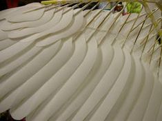 a close up view of the underside of a white bird's wing with yellow tips