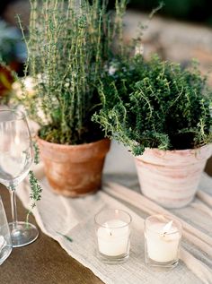 two potted plants sit on a table with candles and wine glasses next to them