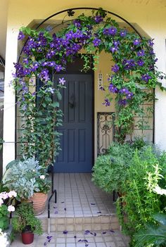 a blue door surrounded by plants and potted plants on the outside of a house