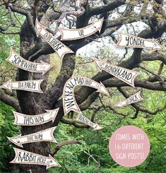 a tree with many signs hanging from it's branches in front of some trees