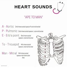 the diagram shows how heart sounds are used to treat people's health needs for their body