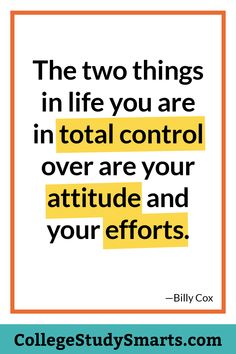 the two things in life you are in total control over are your attitude and your efforts