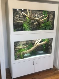 an aquarium with plants and rocks in it