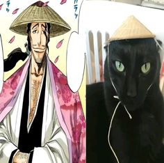 a black cat wearing a straw hat next to an image of a man in a kimono