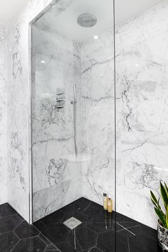 a bathroom with marble walls and flooring in the shower area, along with a plant