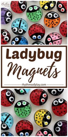 ladybug magnets with the words ladybug magnets on them in front of