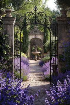 an iron gate leads into a garden with purple flowers and lavenders in the foreground