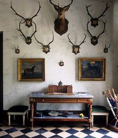 several deer heads mounted on the wall above a table in a room with checkered flooring