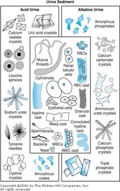 the diagram shows how different substances are used to make an animal's body and its surroundings