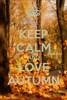 a keep calm and love autumn poster