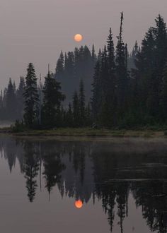 the sun is setting over a lake with trees in the background and fog on the water