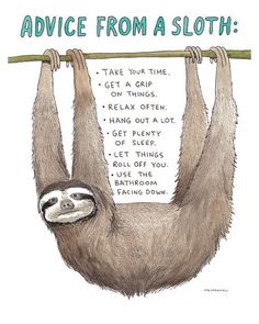 a slotty hanging upside down on a branch with the words advice from a sloth