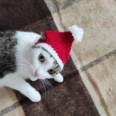 a cat wearing a red and white knitted santa hat on top of a blanket