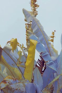 an artistic sculpture with blue and yellow leaves in the foreground, against a light blue sky