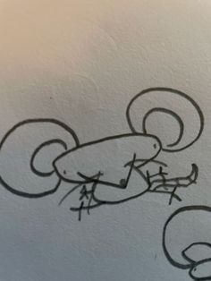 a drawing of a mouse on the wall