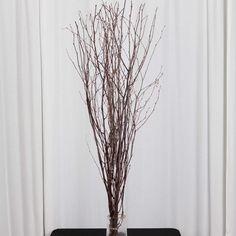 a vase with branches in it sitting on a table next to a white drapes