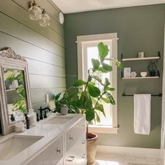 a bathroom with green walls and white counter tops, along with a plant in the corner