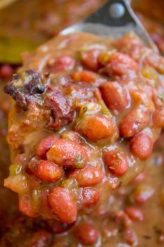 a spoon full of beans and meat in a sauce