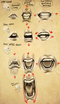 an image of different mouth shapes and teeth