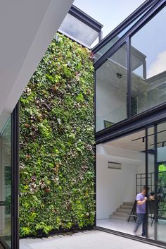 a man standing in front of a green wall on the side of a building with glass doors