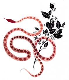 a snake and some leaves on a white background