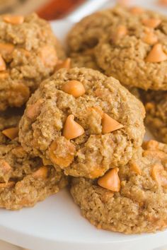 oatmeal and peanut butter cookies on a white plate with oranges in the background