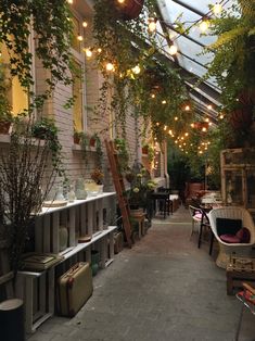 an outdoor patio with lots of plants and lights