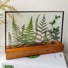 a wooden frame with some plants in it on top of a white book next to a plant