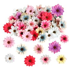 many different colored flowers on a white background