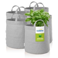 four grey baskets with plants in them on a white surface, each containing a label that says coolaroo