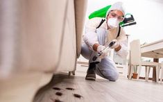 hire a pest control company Cockroach Control, Ant Control, Diy Pest Control, Household Pests, Rodent Control, Best Pest Control, Mosquito Control, Bug Control, Termite Control