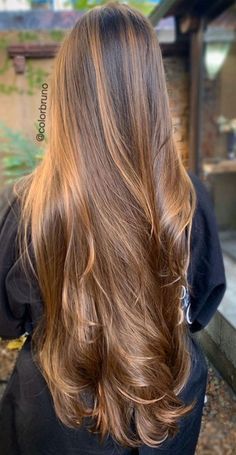 Black To Golden Brown Hair, Hair Dye Ideas For Dark Skin, Long Hair Colour, Golden Hair Color, Ginseng Root, Themes Wedding, Honey Brown Hair, Hair Color Caramel, Long Silky Hair