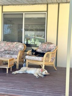 a dog laying on the porch next to two wicker chairs