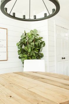 a dining room table with a potted plant on the wall above it and a framed sign