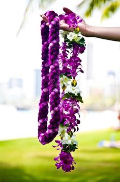 purple and white flowers are hanging from a palm tree