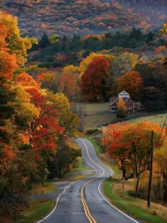 an empty road surrounded by trees with fall colors