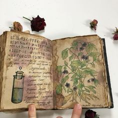 a hand holding an open book with flowers on the pages and writing in latin language