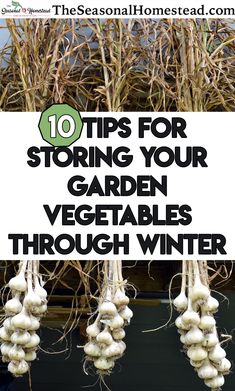 some garlic hanging from the side of a building with text overlay that reads 10 tips for storing your garden vegetables through winter