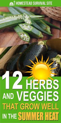 the front cover of 12 herbs and veggies that grow well in the summer heat