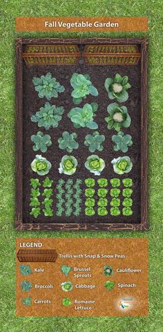 a garden with lots of plants growing in it and the words, fall vegetable garden