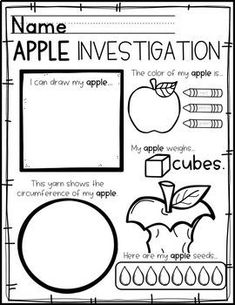 an apple themed worksheet with the words, name and description in black and white