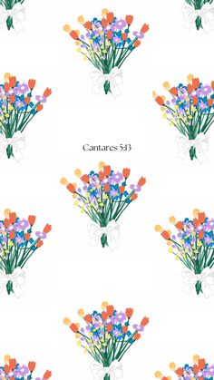 flowers are arranged in different colors and sizes on a white background with the words cantaries 31