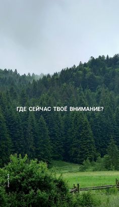 the words are written in russian on top of a field with trees and mountains behind it